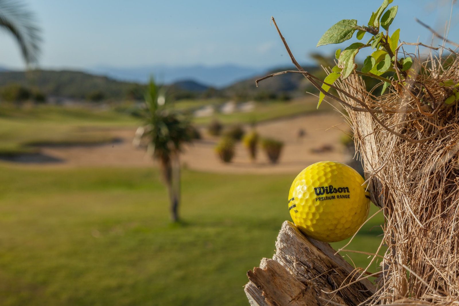 Golfbal met zicht op de baan